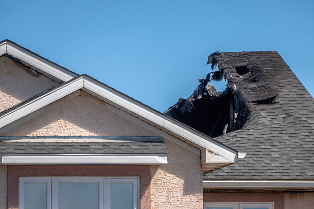 Top rated local Fire Board Up specialists in Pipersville, PA